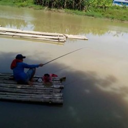 Tingkat Kekeruhan Air Sungai Ciujung Menurun