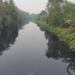 Diduga Akibat Limbah, Sungai Ciujung Menghitam